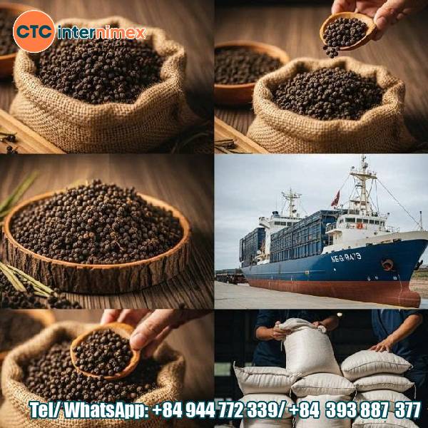Premium Vietnamese Pepper Export - CTC Internimex